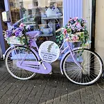 Wild Atlantic Haven, Cosy Nr. & * Ballina (Mayo)