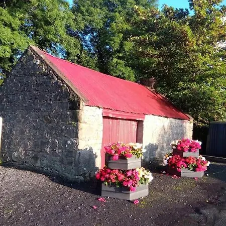 Сasa de vacaciones Wild Atlantic Haven, Cosy Nr. & *