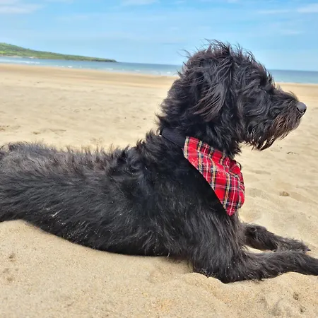 Wild Atlantic Haven, Cosy Nr. & Feriehus Ballina (Mayo)