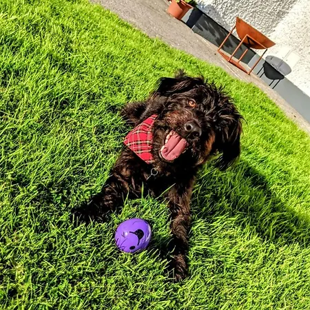 Wild Atlantic Haven, Cosy Nr. & *