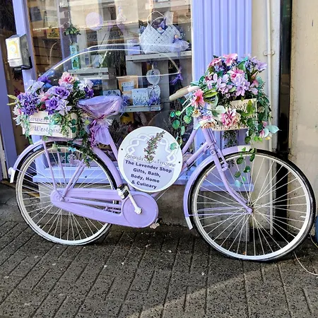 Wild Atlantic Haven, Cosy Nr. & * Ballina (Mayo)