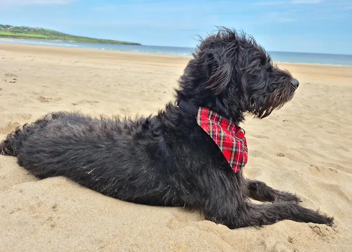 Wild Atlantic Haven, Cosy Nr. & Feriehus Ballina (Mayo)