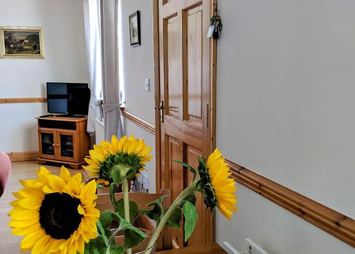 Vakantiehuis Wild Atlantic Haven, Cosy Nr. & Ballina (Mayo)