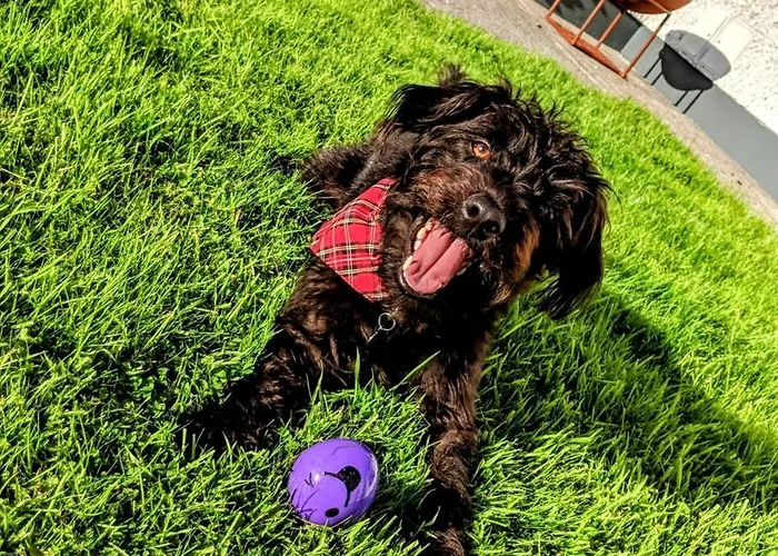 Wild Atlantic Haven, Cosy Nr. & *