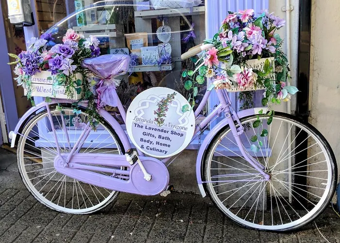 Wild Atlantic Haven, Cosy Nr. & * Ballina (Mayo)